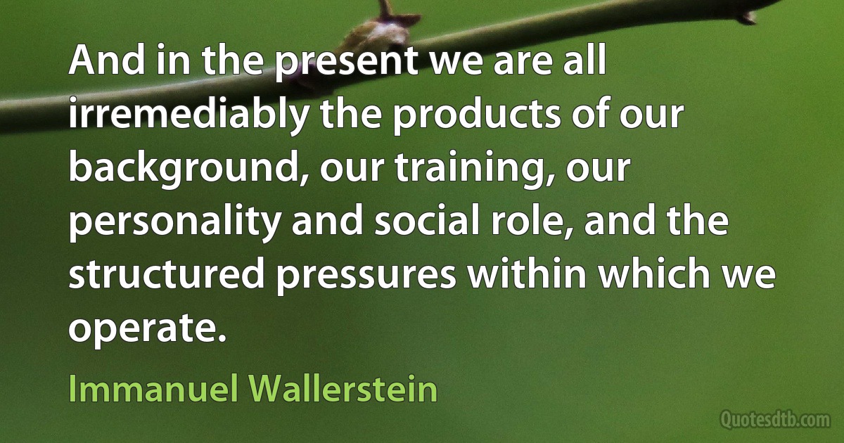 And in the present we are all irremediably the products of our background, our training, our personality and social role, and the structured pressures within which we operate. (Immanuel Wallerstein)