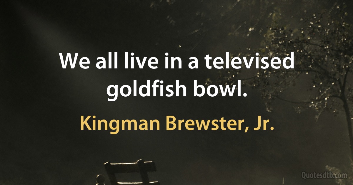 We all live in a televised goldfish bowl. (Kingman Brewster, Jr.)