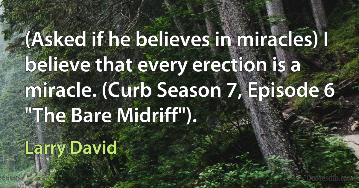 (Asked if he believes in miracles) I believe that every erection is a miracle. (Curb Season 7, Episode 6 "The Bare Midriff"). (Larry David)