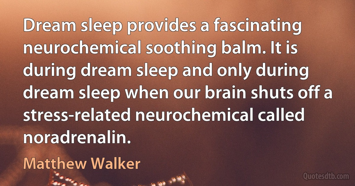 Dream sleep provides a fascinating neurochemical soothing balm. It is during dream sleep and only during dream sleep when our brain shuts off a stress-related neurochemical called noradrenalin. (Matthew Walker)