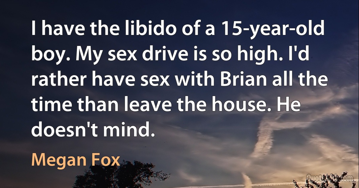 I have the libido of a 15-year-old boy. My sex drive is so high. I'd rather have sex with Brian all the time than leave the house. He doesn't mind. (Megan Fox)