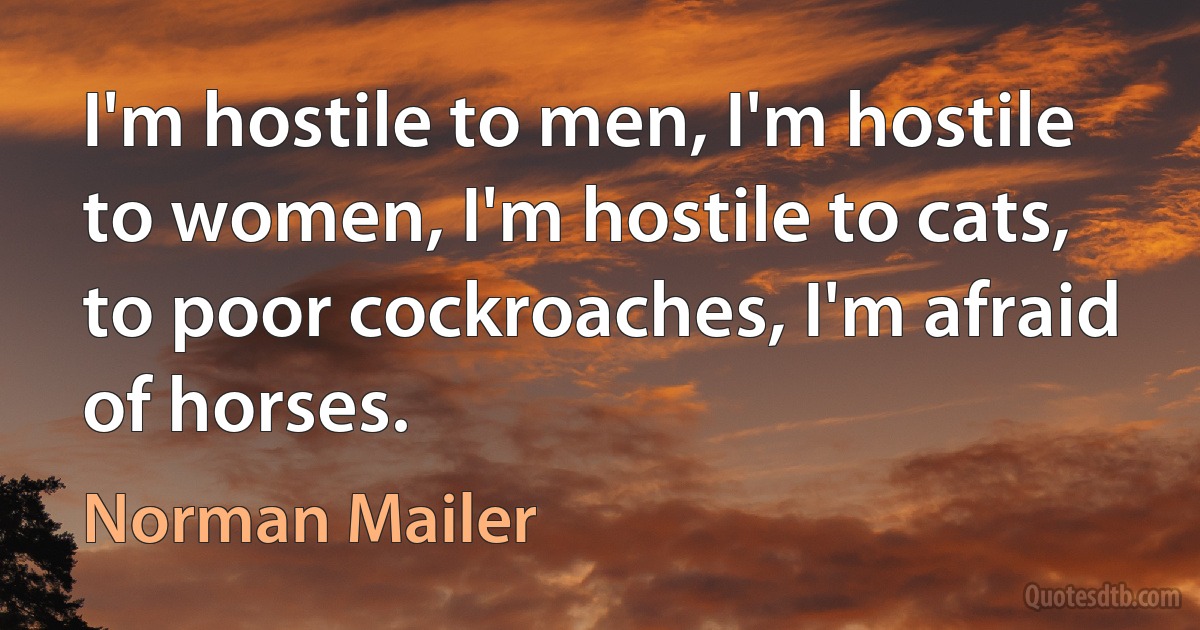 I'm hostile to men, I'm hostile to women, I'm hostile to cats, to poor cockroaches, I'm afraid of horses. (Norman Mailer)