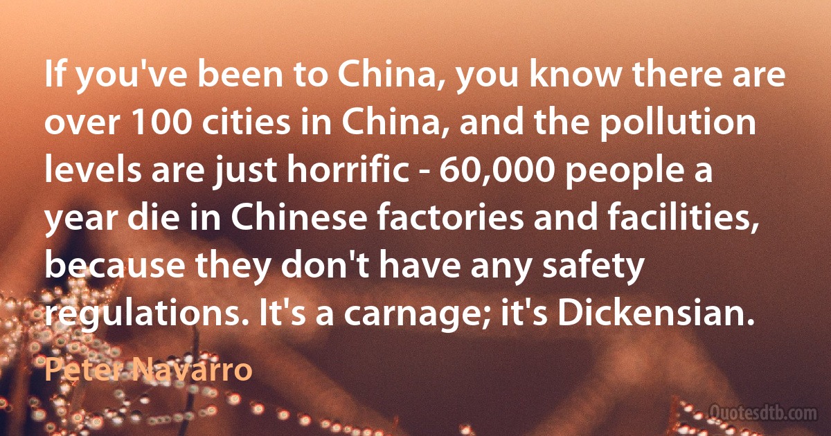 If you've been to China, you know there are over 100 cities in China, and the pollution levels are just horrific - 60,000 people a year die in Chinese factories and facilities, because they don't have any safety regulations. It's a carnage; it's Dickensian. (Peter Navarro)