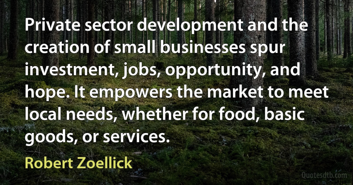 Private sector development and the creation of small businesses spur investment, jobs, opportunity, and hope. It empowers the market to meet local needs, whether for food, basic goods, or services. (Robert Zoellick)