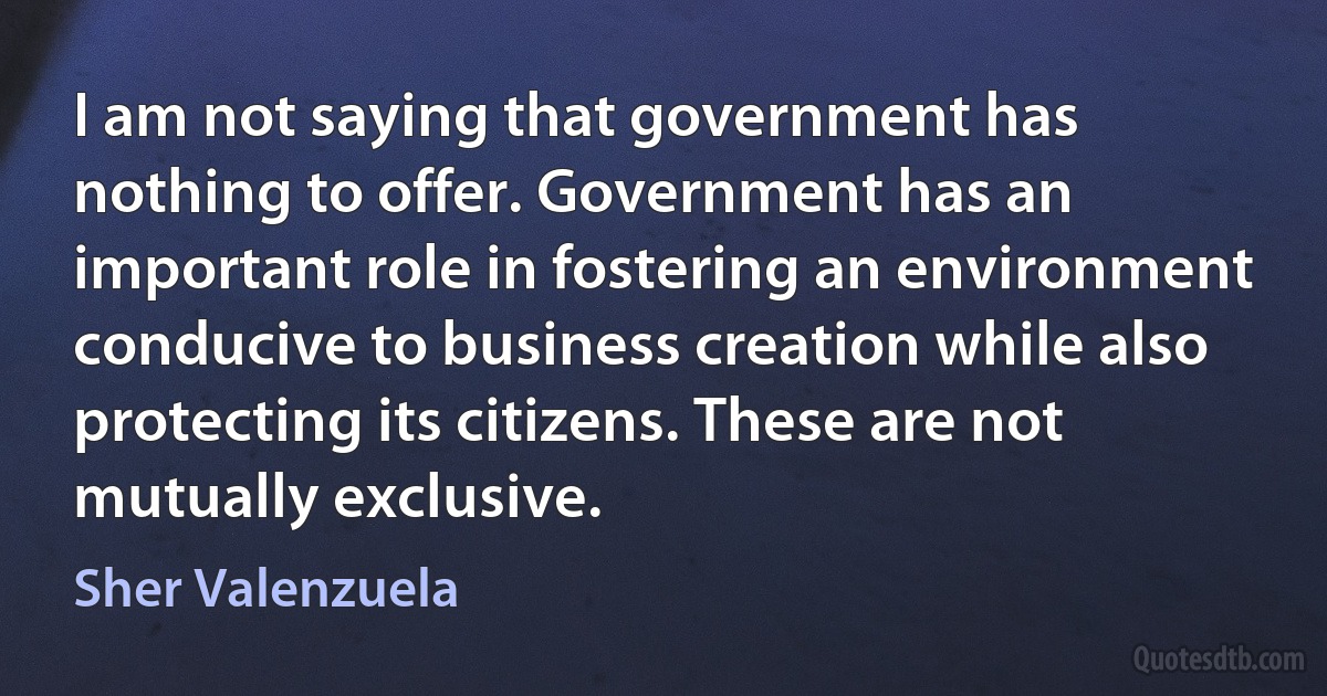 I am not saying that government has nothing to offer. Government has an important role in fostering an environment conducive to business creation while also protecting its citizens. These are not mutually exclusive. (Sher Valenzuela)