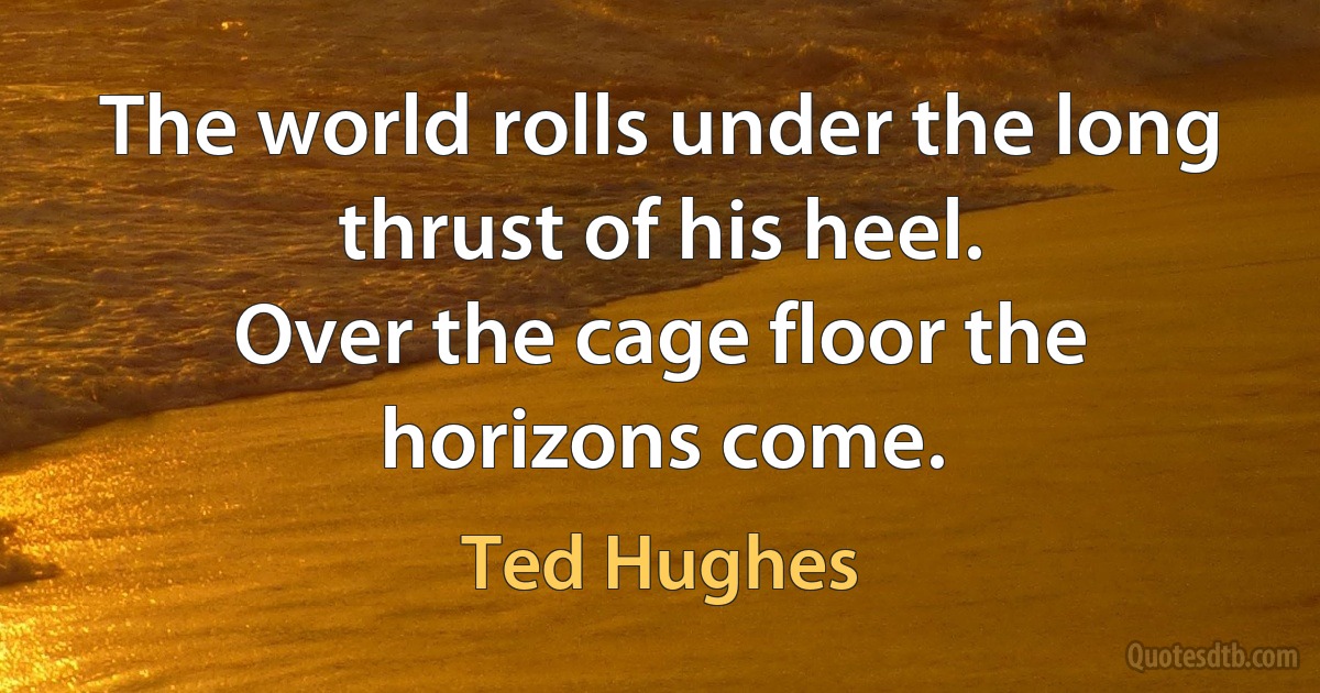 The world rolls under the long thrust of his heel.
Over the cage floor the horizons come. (Ted Hughes)