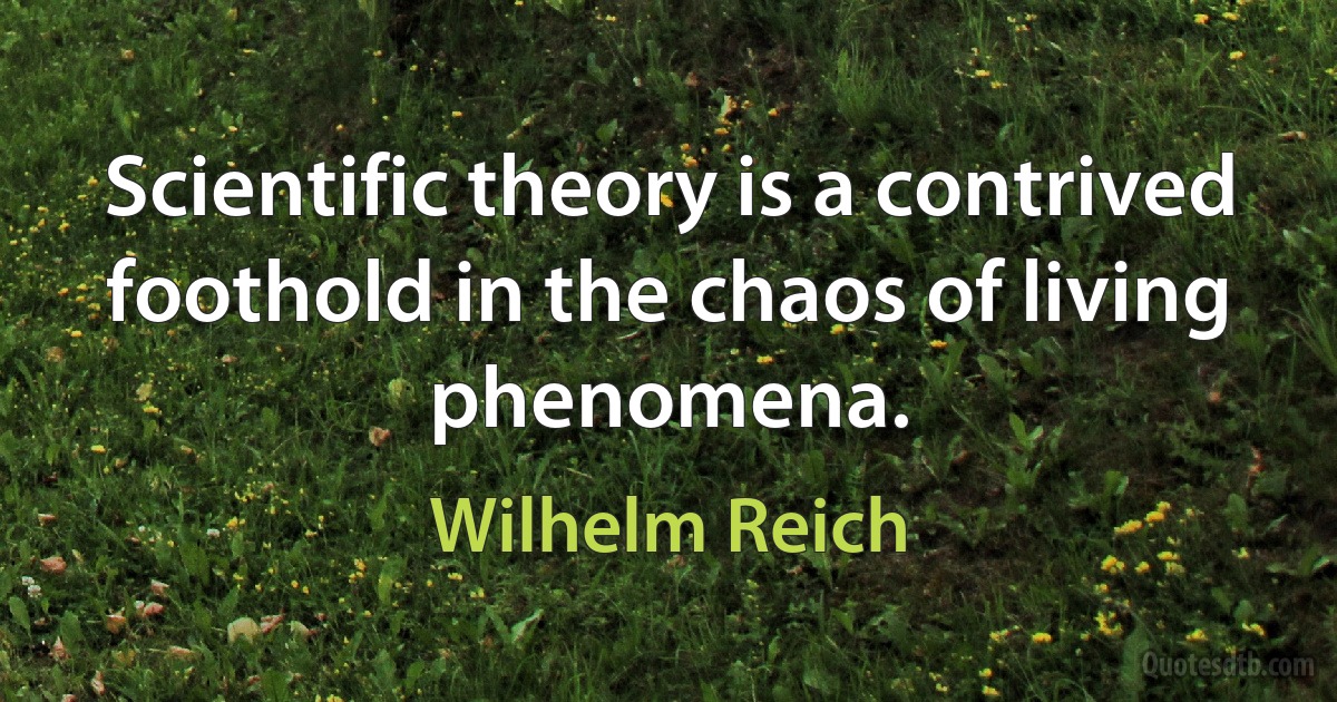 Scientific theory is a contrived foothold in the chaos of living phenomena. (Wilhelm Reich)