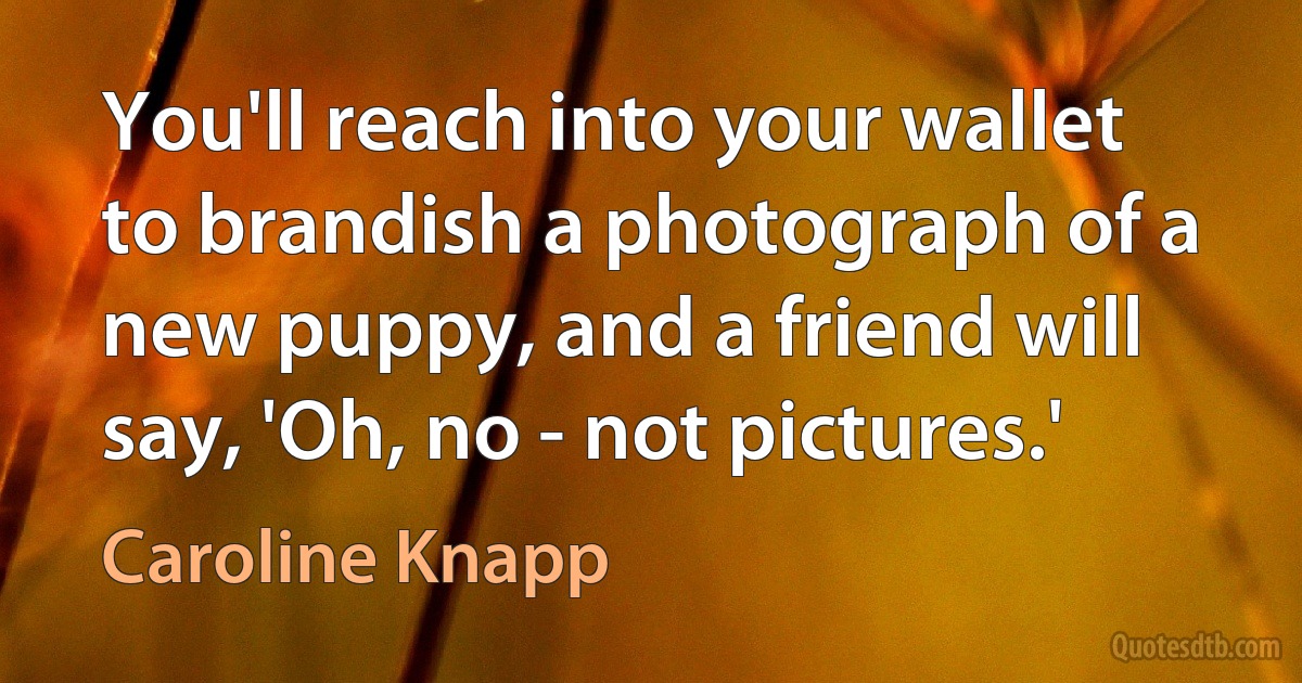 You'll reach into your wallet to brandish a photograph of a new puppy, and a friend will say, 'Oh, no - not pictures.' (Caroline Knapp)