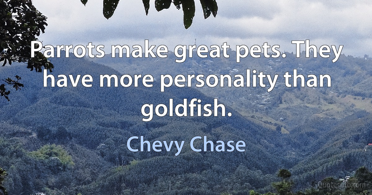 Parrots make great pets. They have more personality than goldfish. (Chevy Chase)