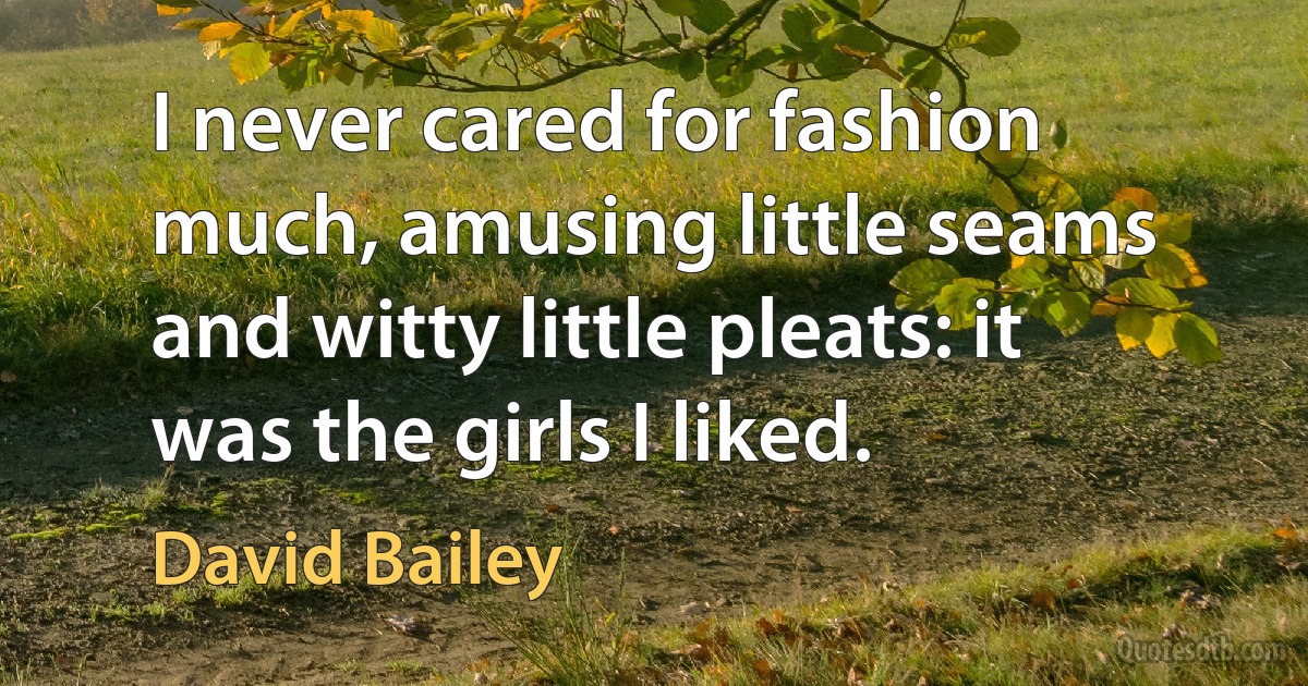 I never cared for fashion much, amusing little seams and witty little pleats: it was the girls I liked. (David Bailey)