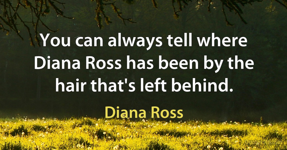 You can always tell where Diana Ross has been by the hair that's left behind. (Diana Ross)