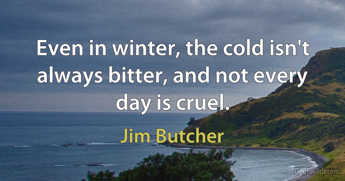 Even in winter, the cold isn't always bitter, and not every day is cruel. (Jim Butcher)