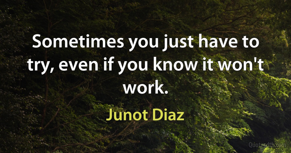 Sometimes you just have to try, even if you know it won't work. (Junot Diaz)