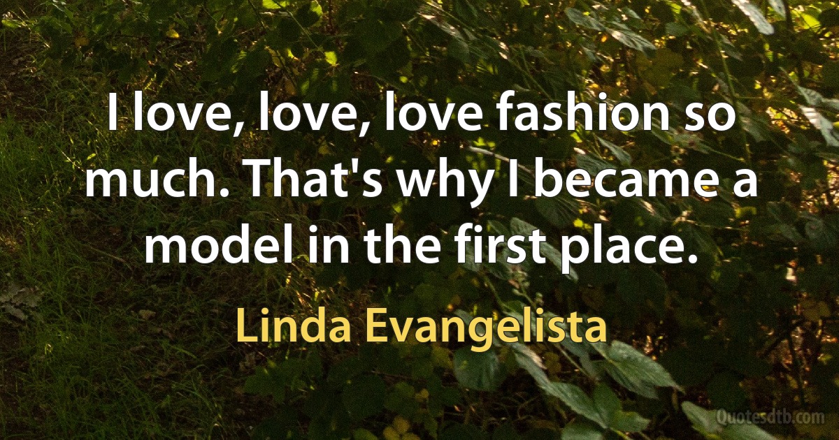 I love, love, love fashion so much. That's why I became a model in the first place. (Linda Evangelista)