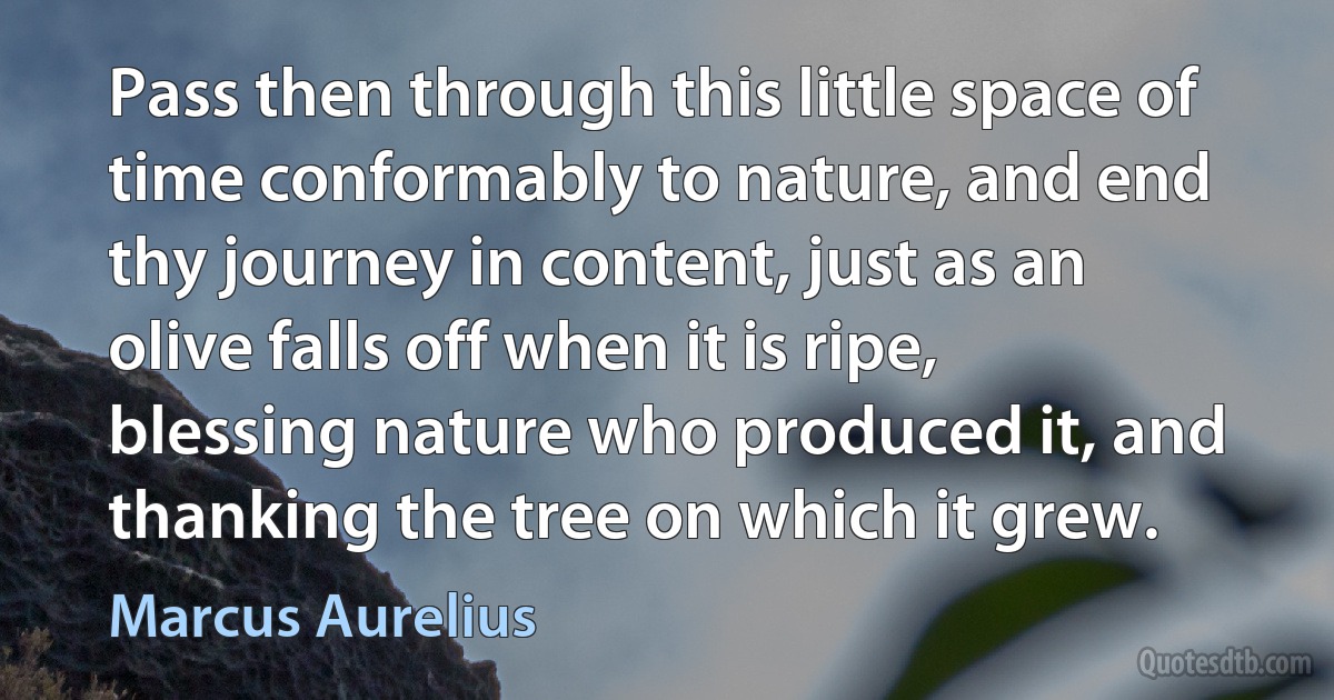 Pass then through this little space of time conformably to nature, and end thy journey in content, just as an olive falls off when it is ripe, blessing nature who produced it, and thanking the tree on which it grew. (Marcus Aurelius)