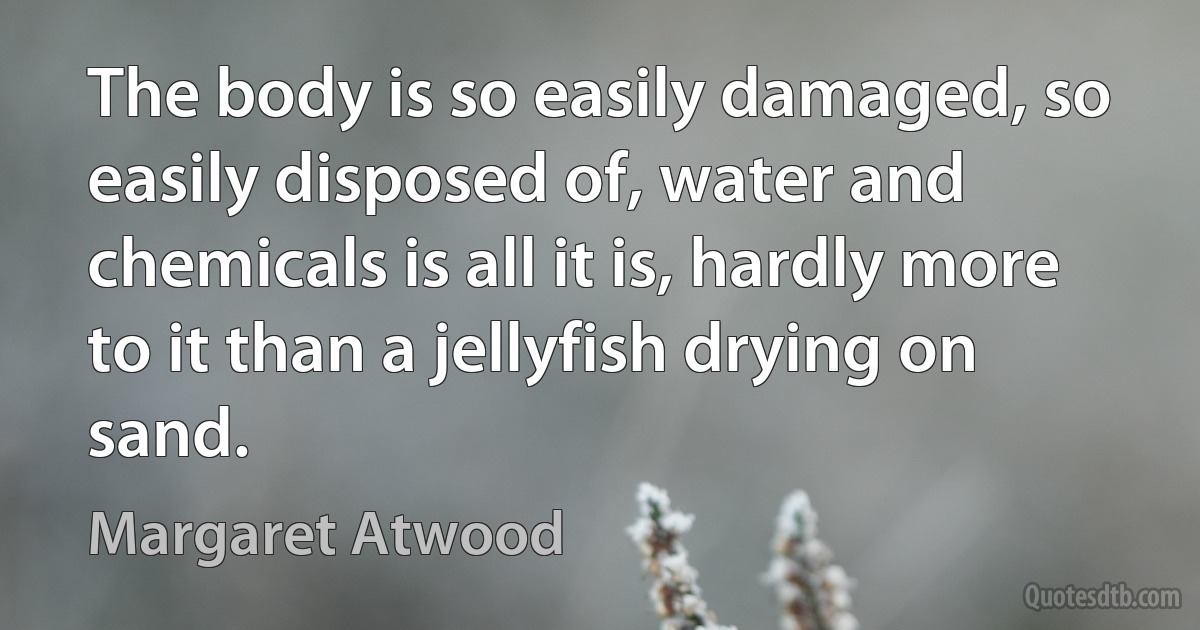 The body is so easily damaged, so easily disposed of, water and chemicals is all it is, hardly more to it than a jellyfish drying on sand. (Margaret Atwood)