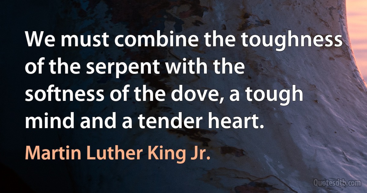 We must combine the toughness of the serpent with the softness of the dove, a tough mind and a tender heart. (Martin Luther King Jr.)