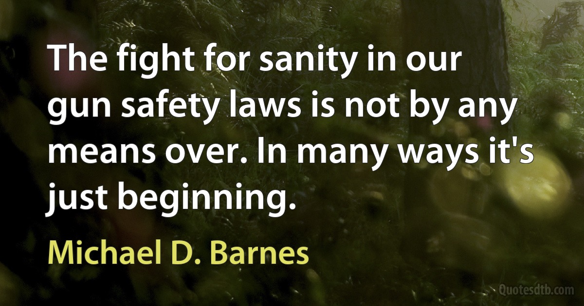 The fight for sanity in our gun safety laws is not by any means over. In many ways it's just beginning. (Michael D. Barnes)