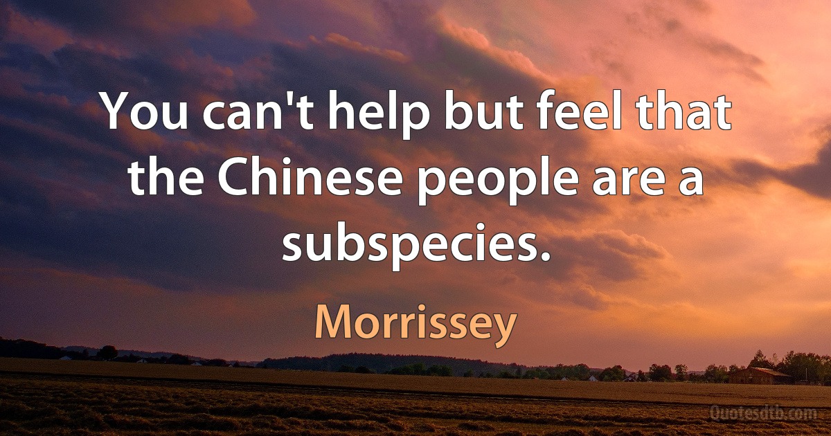 You can't help but feel that the Chinese people are a subspecies. (Morrissey)