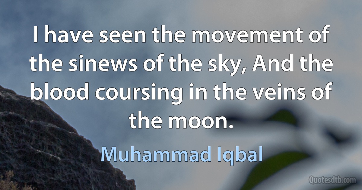 I have seen the movement of the sinews of the sky, And the blood coursing in the veins of the moon. (Muhammad Iqbal)