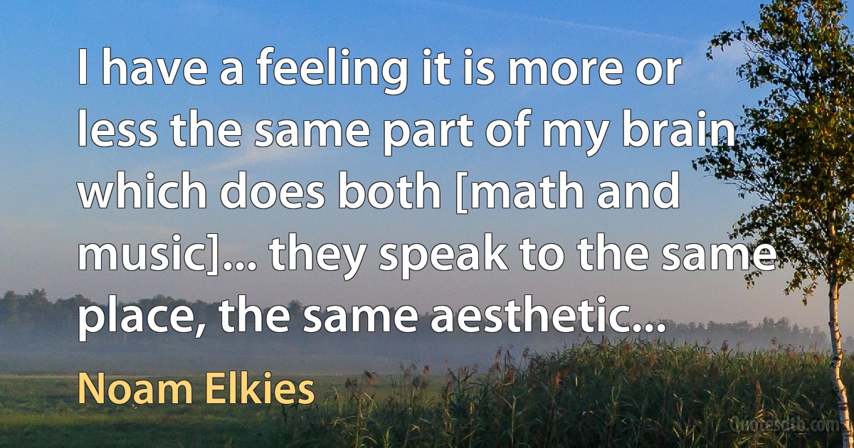 I have a feeling it is more or less the same part of my brain which does both [math and music]... they speak to the same place, the same aesthetic... (Noam Elkies)