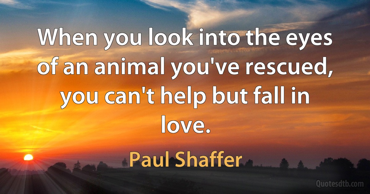 When you look into the eyes of an animal you've rescued, you can't help but fall in love. (Paul Shaffer)