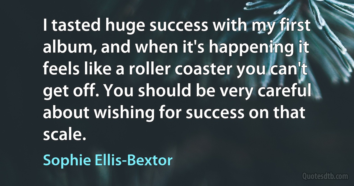 I tasted huge success with my first album, and when it's happening it feels like a roller coaster you can't get off. You should be very careful about wishing for success on that scale. (Sophie Ellis-Bextor)