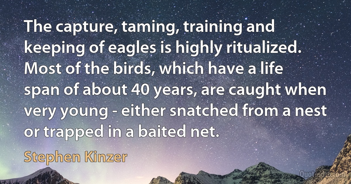 The capture, taming, training and keeping of eagles is highly ritualized. Most of the birds, which have a life span of about 40 years, are caught when very young - either snatched from a nest or trapped in a baited net. (Stephen Kinzer)