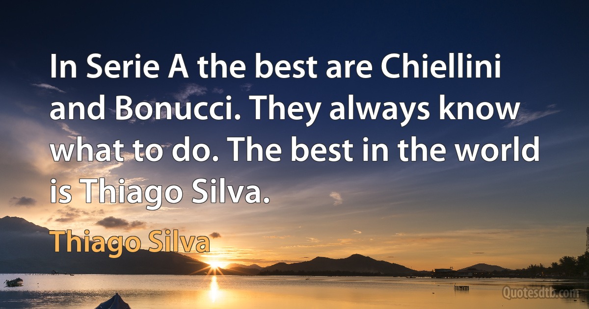 In Serie A the best are Chiellini and Bonucci. They always know what to do. The best in the world is Thiago Silva. (Thiago Silva)