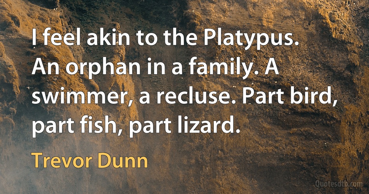 I feel akin to the Platypus. An orphan in a family. A swimmer, a recluse. Part bird, part fish, part lizard. (Trevor Dunn)