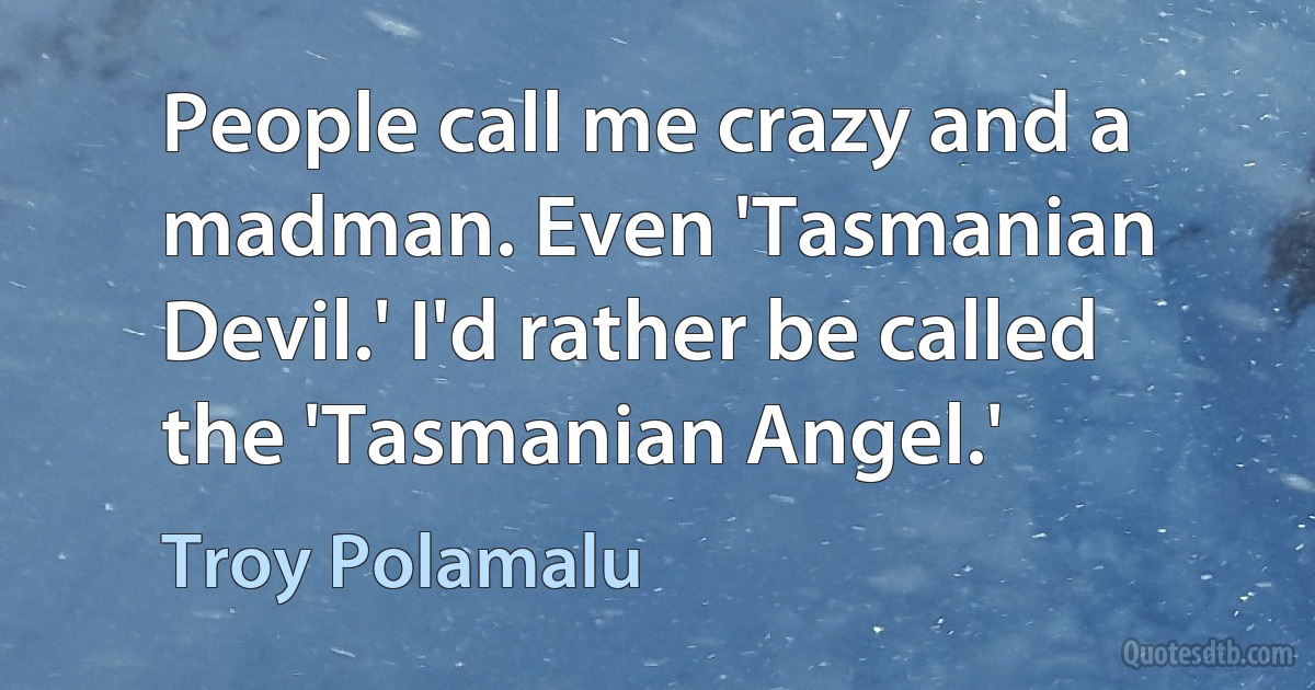 People call me crazy and a madman. Even 'Tasmanian Devil.' I'd rather be called the 'Tasmanian Angel.' (Troy Polamalu)