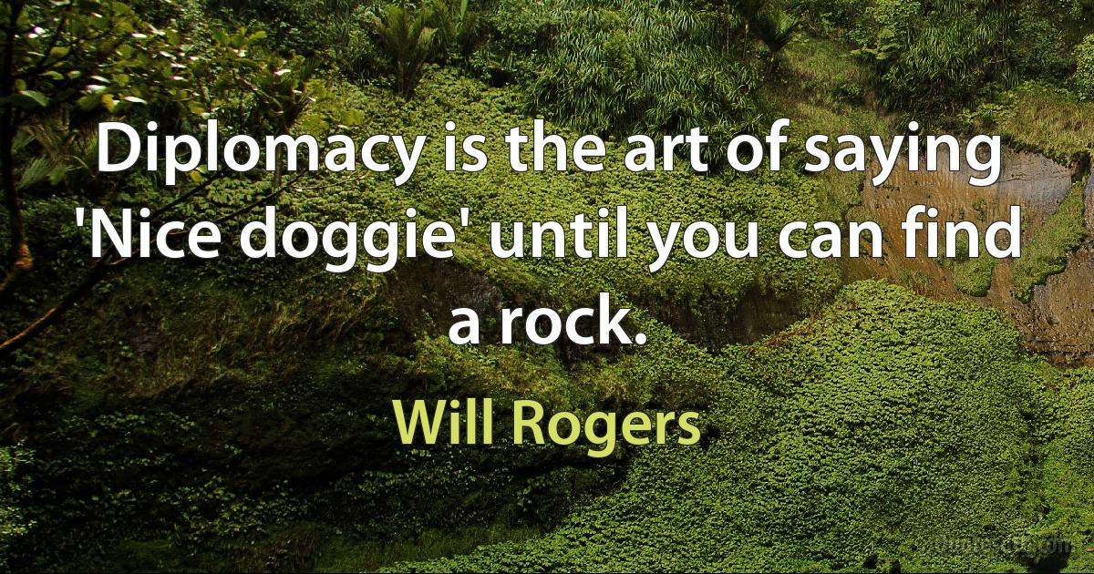 Diplomacy is the art of saying 'Nice doggie' until you can find a rock. (Will Rogers)