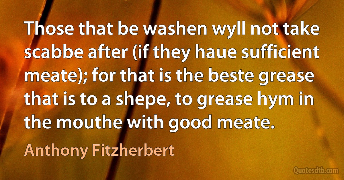 Those that be washen wyll not take scabbe after (if they haue sufficient meate); for that is the beste grease that is to a shepe, to grease hym in the mouthe with good meate. (Anthony Fitzherbert)