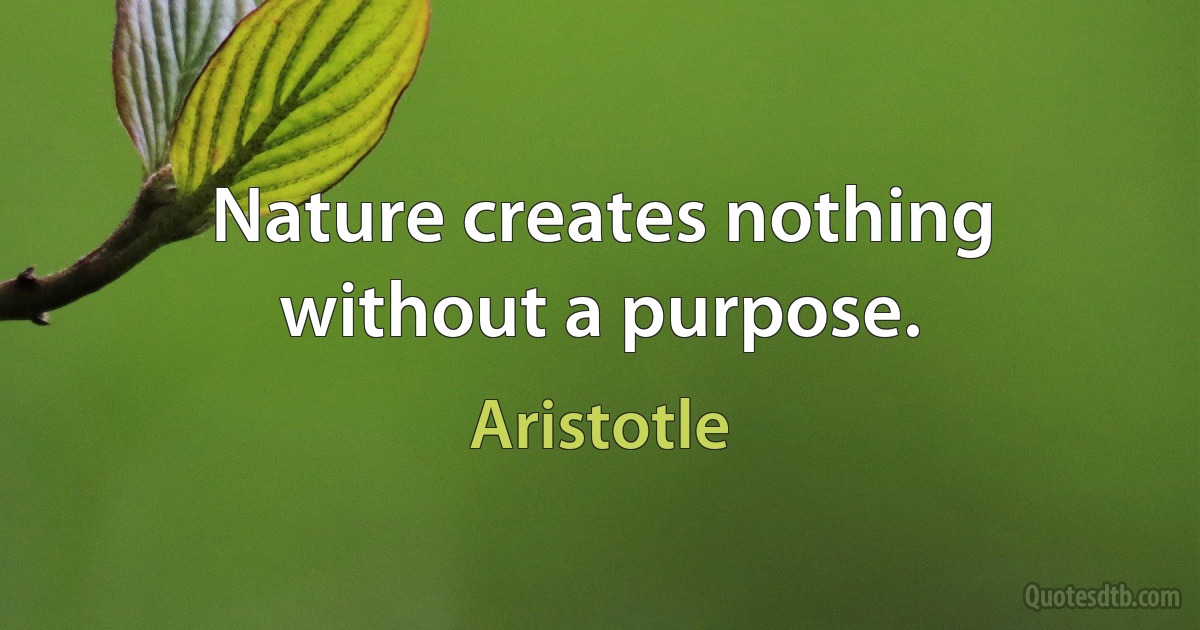 Nature creates nothing without a purpose. (Aristotle)