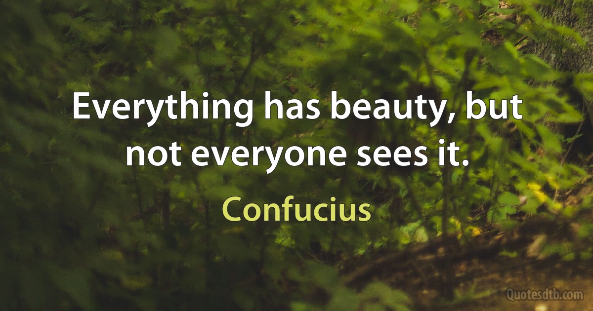 Everything has beauty, but not everyone sees it. (Confucius)