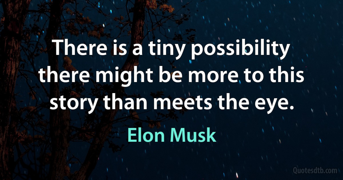 There is a tiny possibility there might be more to this story than meets the eye. (Elon Musk)