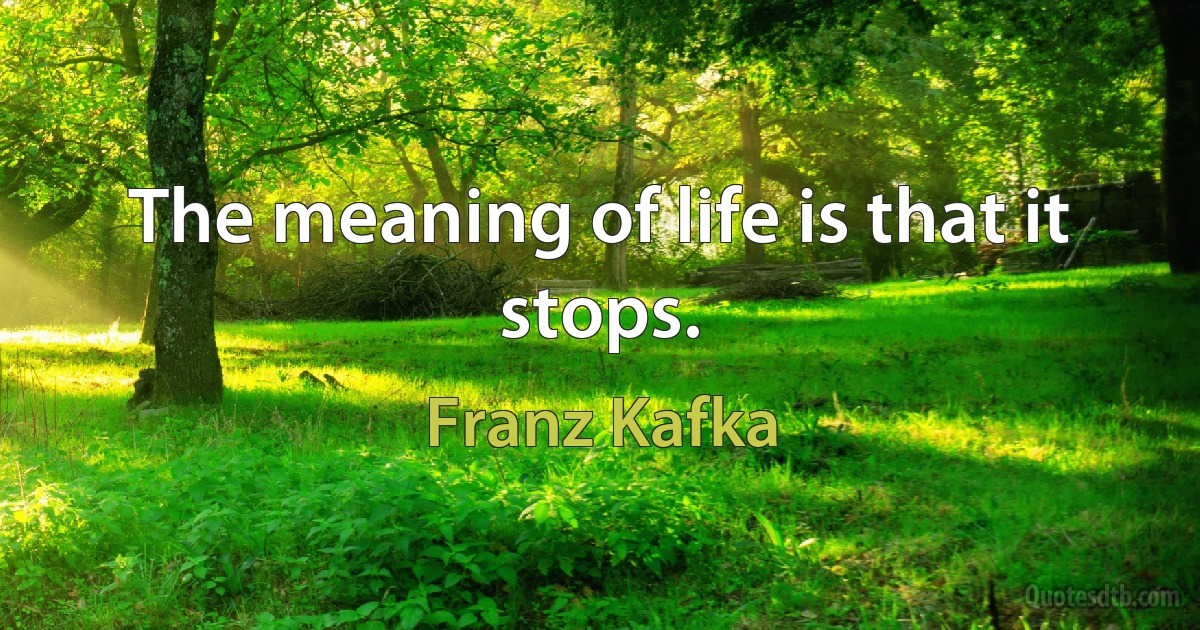 The meaning of life is that it stops. (Franz Kafka)