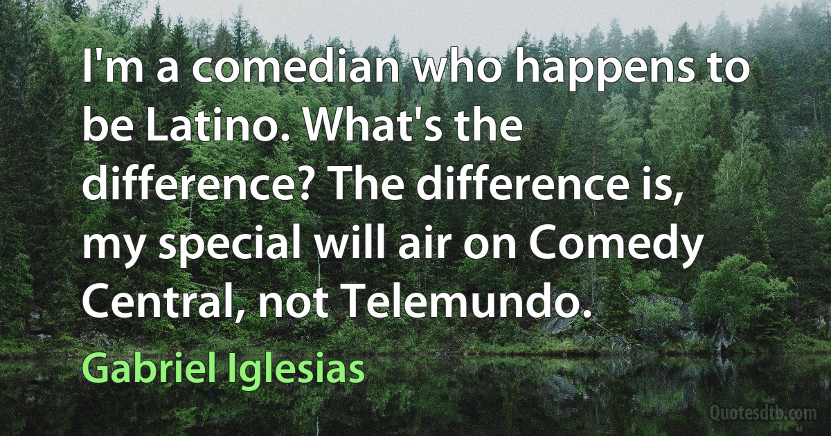 I'm a comedian who happens to be Latino. What's the difference? The difference is, my special will air on Comedy Central, not Telemundo. (Gabriel Iglesias)