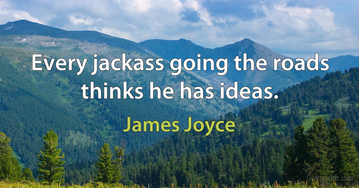 Every jackass going the roads thinks he has ideas. (James Joyce)