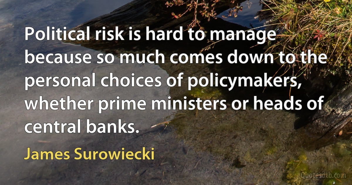 Political risk is hard to manage because so much comes down to the personal choices of policymakers, whether prime ministers or heads of central banks. (James Surowiecki)