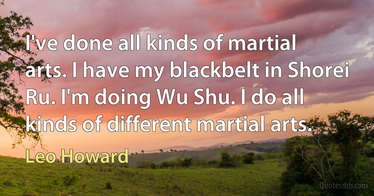 I've done all kinds of martial arts. I have my blackbelt in Shorei Ru. I'm doing Wu Shu. I do all kinds of different martial arts. (Leo Howard)