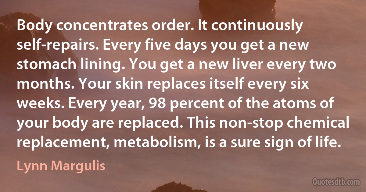 Body concentrates order. It continuously self-repairs. Every five days you get a new stomach lining. You get a new liver every two months. Your skin replaces itself every six weeks. Every year, 98 percent of the atoms of your body are replaced. This non-stop chemical replacement, metabolism, is a sure sign of life. (Lynn Margulis)