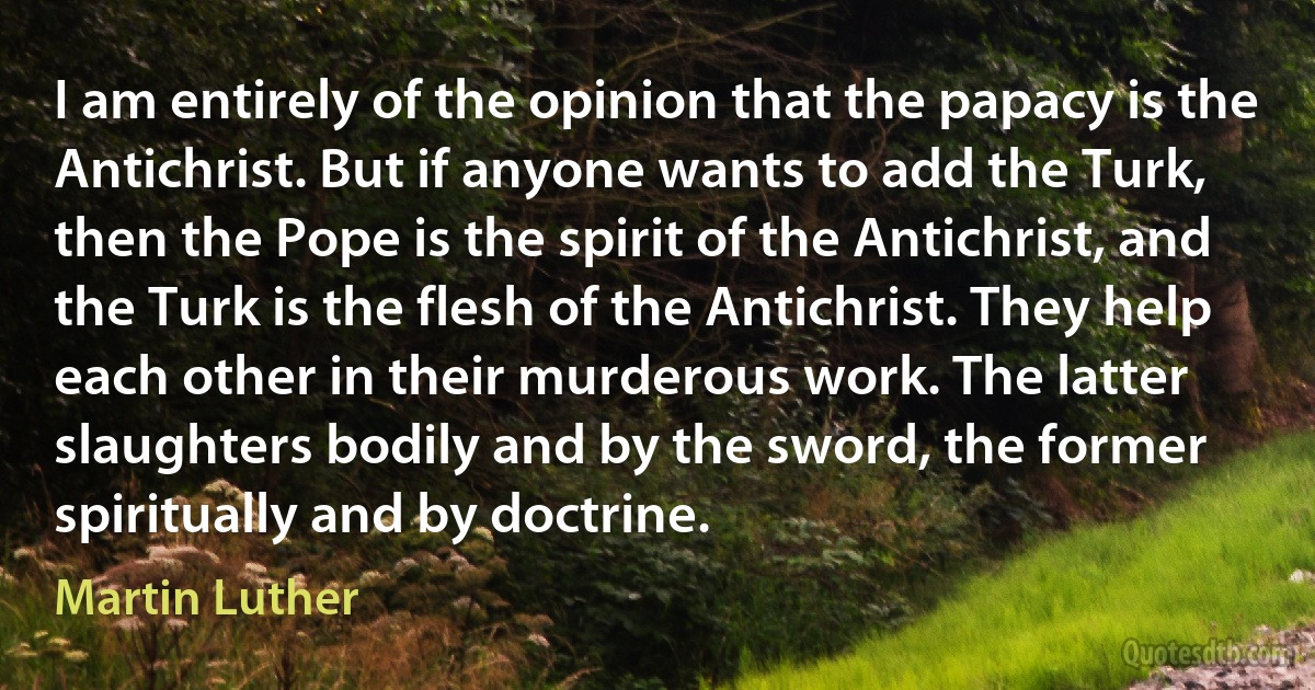 I am entirely of the opinion that the papacy is the Antichrist. But if anyone wants to add the Turk, then the Pope is the spirit of the Antichrist, and the Turk is the flesh of the Antichrist. They help each other in their murderous work. The latter slaughters bodily and by the sword, the former spiritually and by doctrine. (Martin Luther)