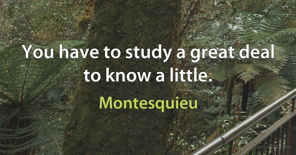 You have to study a great deal to know a little. (Montesquieu)