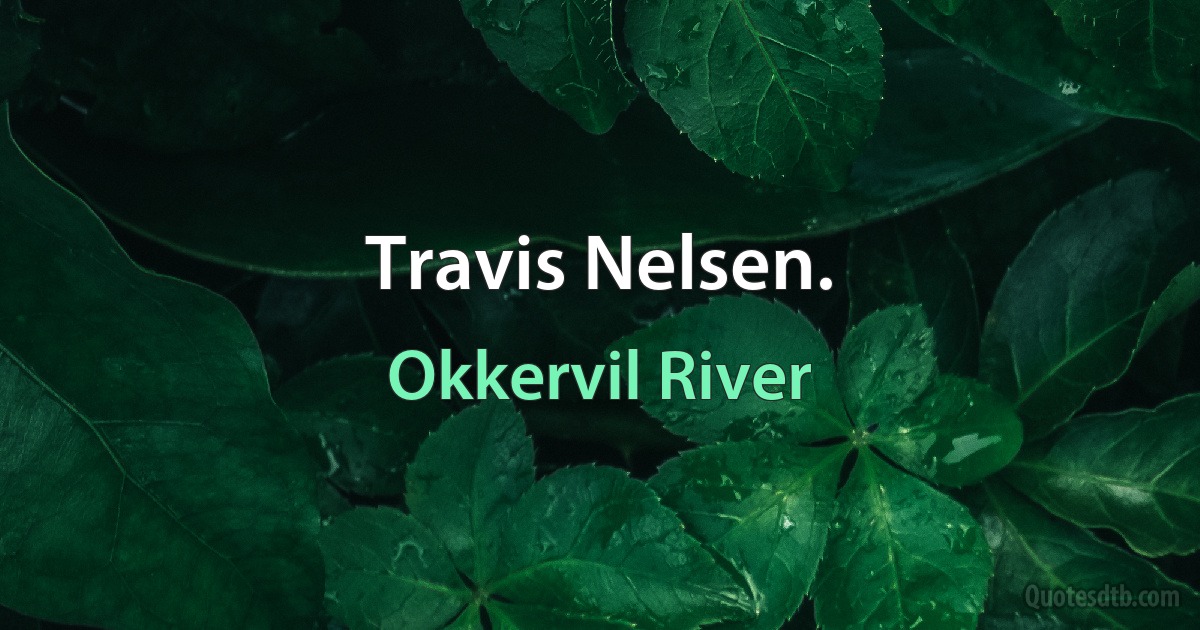 Travis Nelsen. (Okkervil River)