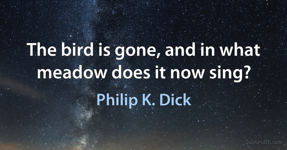 The bird is gone, and in what meadow does it now sing? (Philip K. Dick)