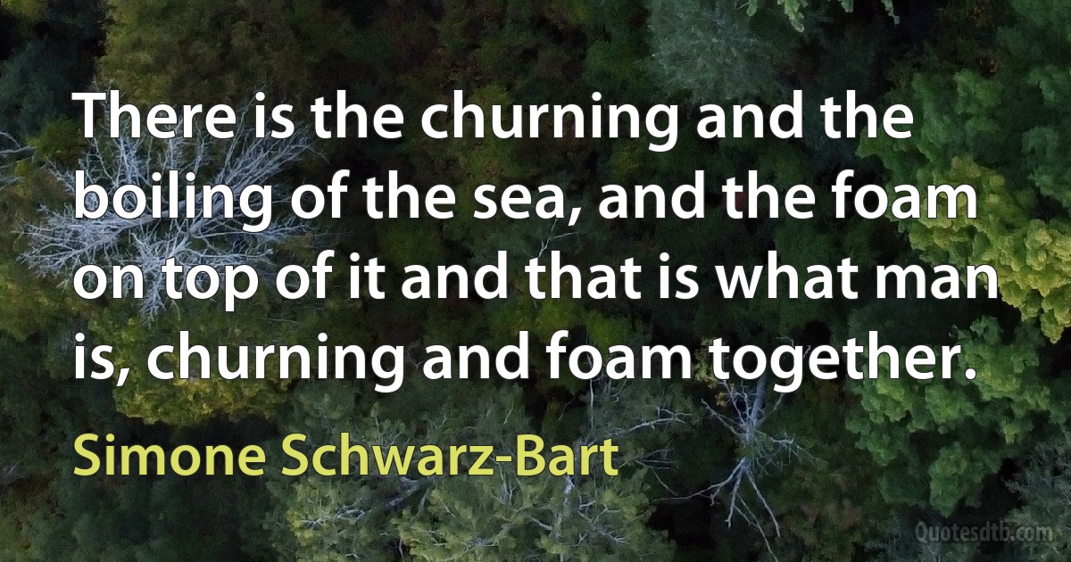 There is the churning and the boiling of the sea, and the foam on top of it and that is what man is, churning and foam together. (Simone Schwarz-Bart)