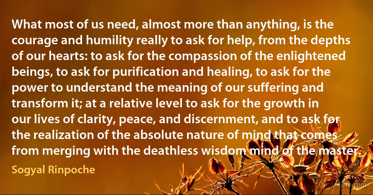 What most of us need, almost more than anything, is the courage and humility really to ask for help, from the depths of our hearts: to ask for the compassion of the enlightened beings, to ask for purification and healing, to ask for the power to understand the meaning of our suffering and transform it; at a relative level to ask for the growth in our lives of clarity, peace, and discernment, and to ask for the realization of the absolute nature of mind that comes from merging with the deathless wisdom mind of the master. (Sogyal Rinpoche)