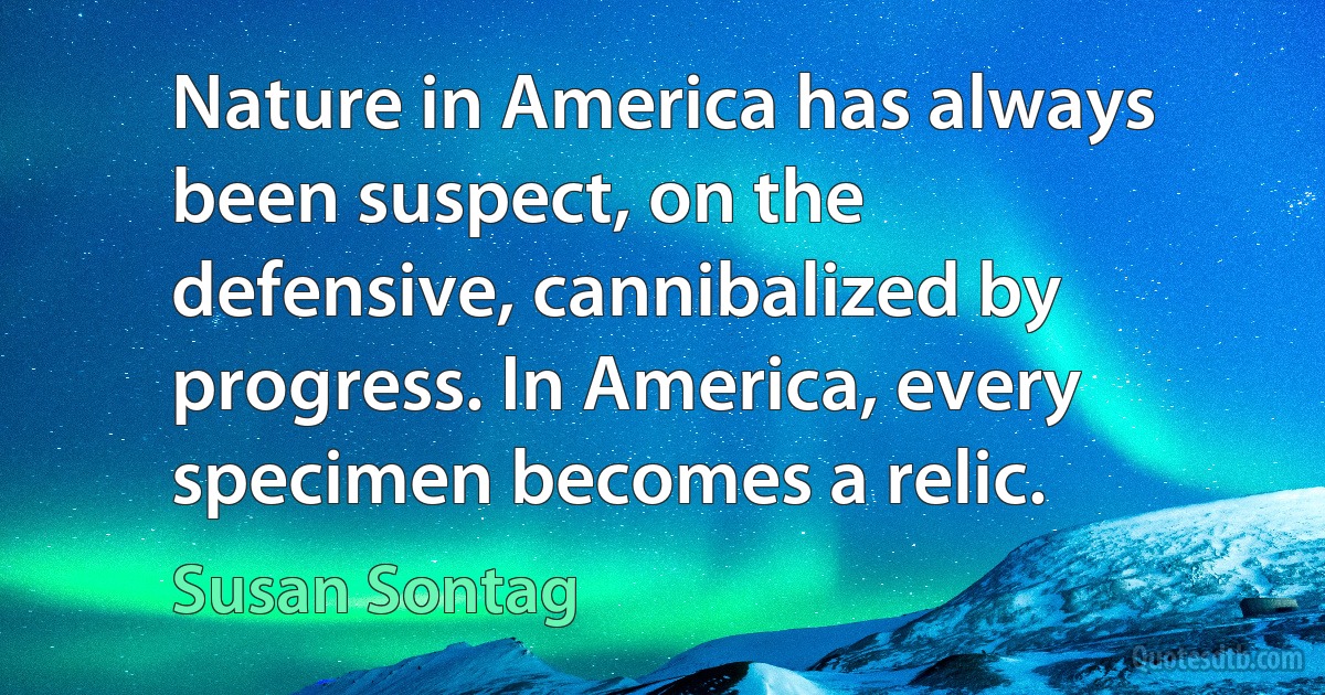 Nature in America has always been suspect, on the defensive, cannibalized by progress. In America, every specimen becomes a relic. (Susan Sontag)