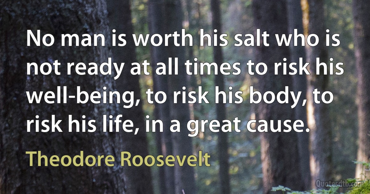 No man is worth his salt who is not ready at all times to risk his well-being, to risk his body, to risk his life, in a great cause. (Theodore Roosevelt)